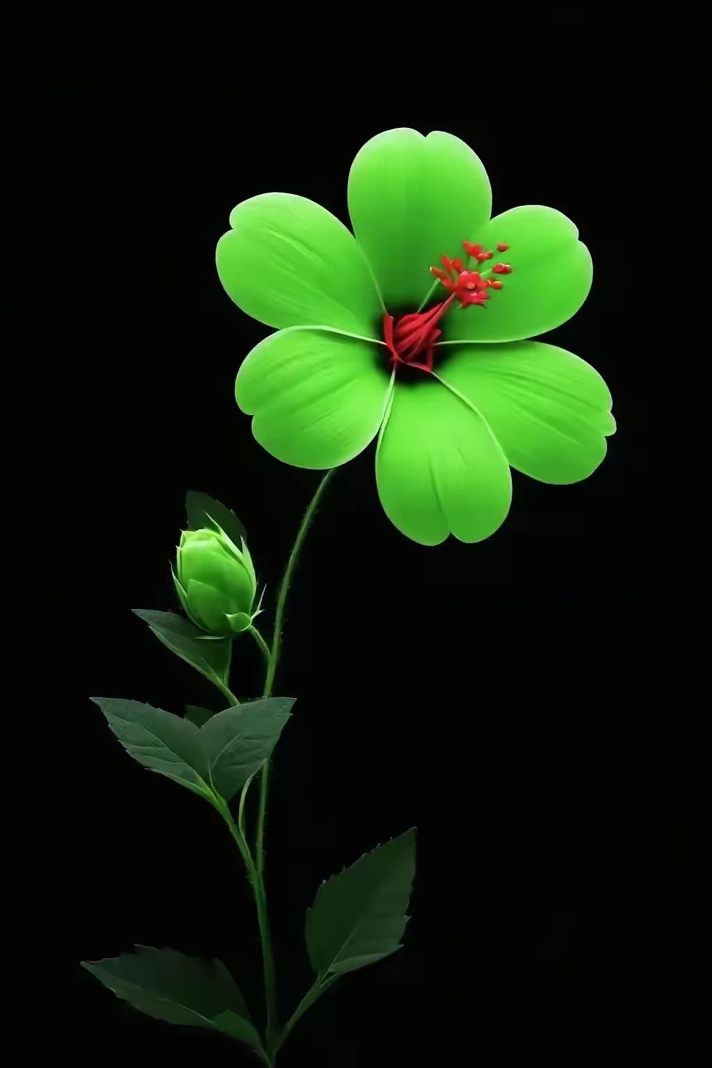 生机勃勃的绿色花朵，绽放在黑色背景中，带来清新自然的气息。