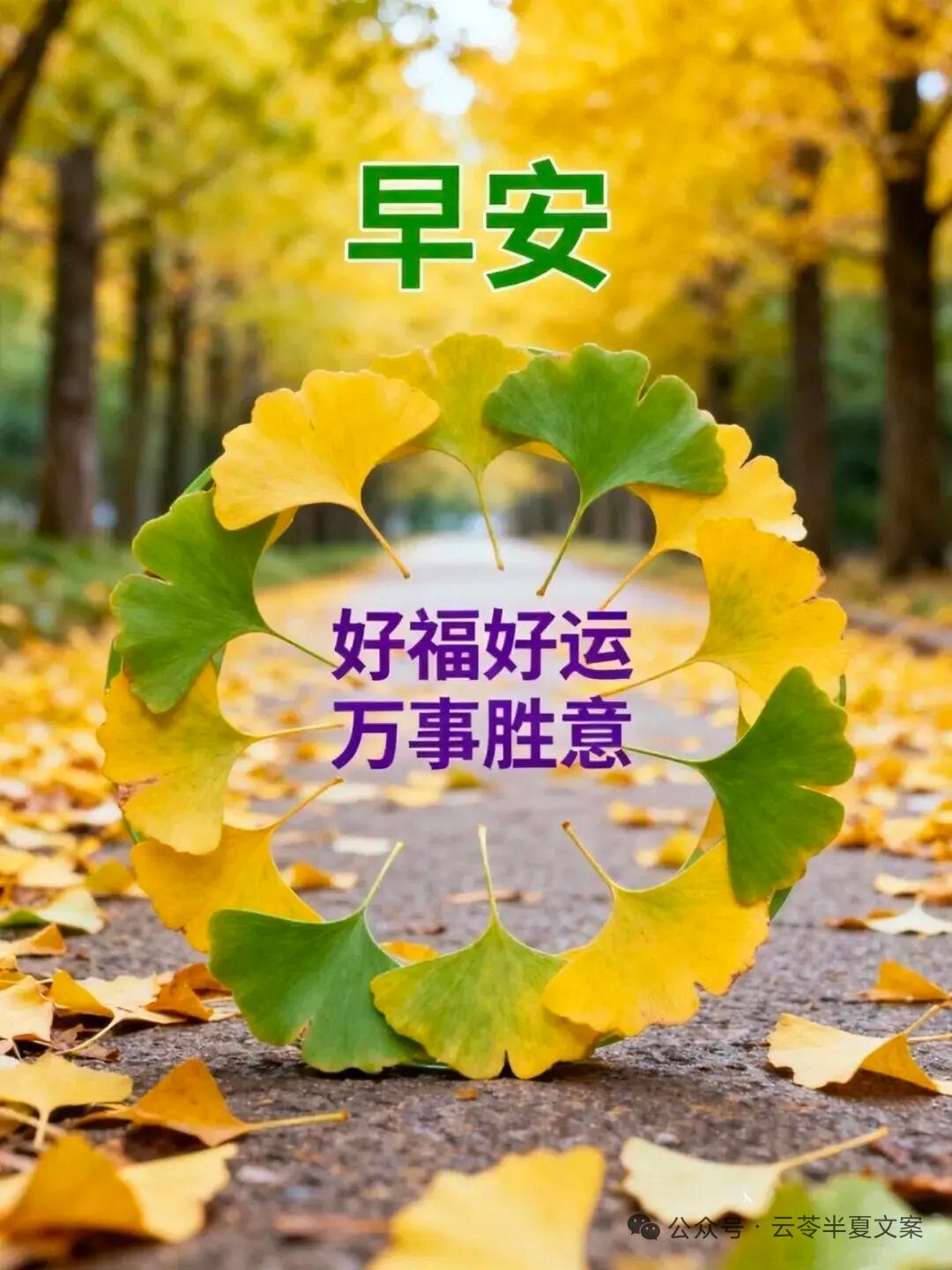 10月4日星期日早上好，国庆假期的进度条已经悄悄滑到中段了。
窗外的秋风裹着桂香