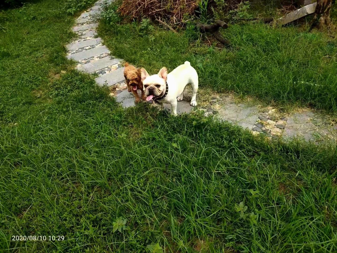 这是我自己的感觉，也是我自己加的生态，其实这是当时那段口罩时期特有的东西，也是找
