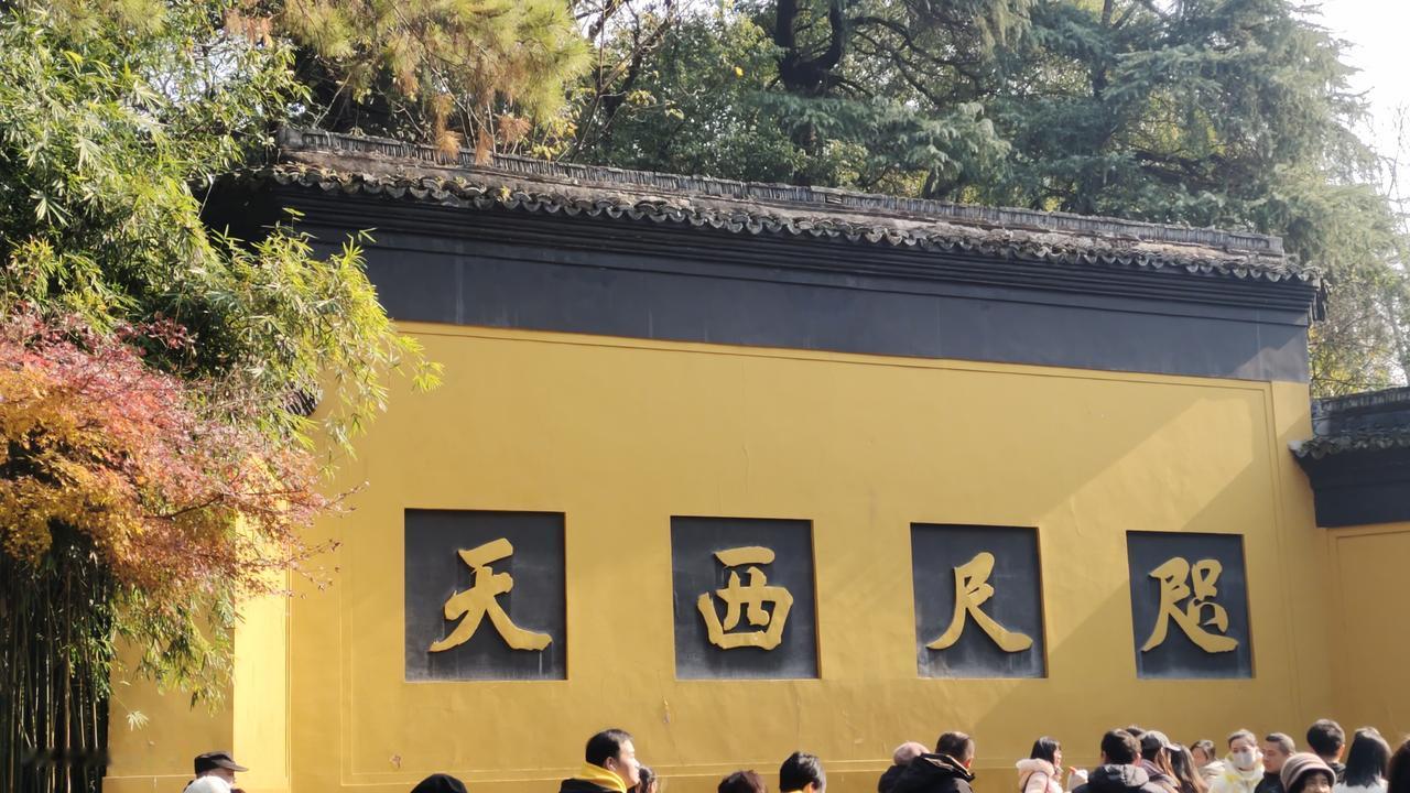 加了硼砂的面条对人体有何危害硼砂对人体的危害是毋庸置疑的。长期摄入对我们的肝脏会