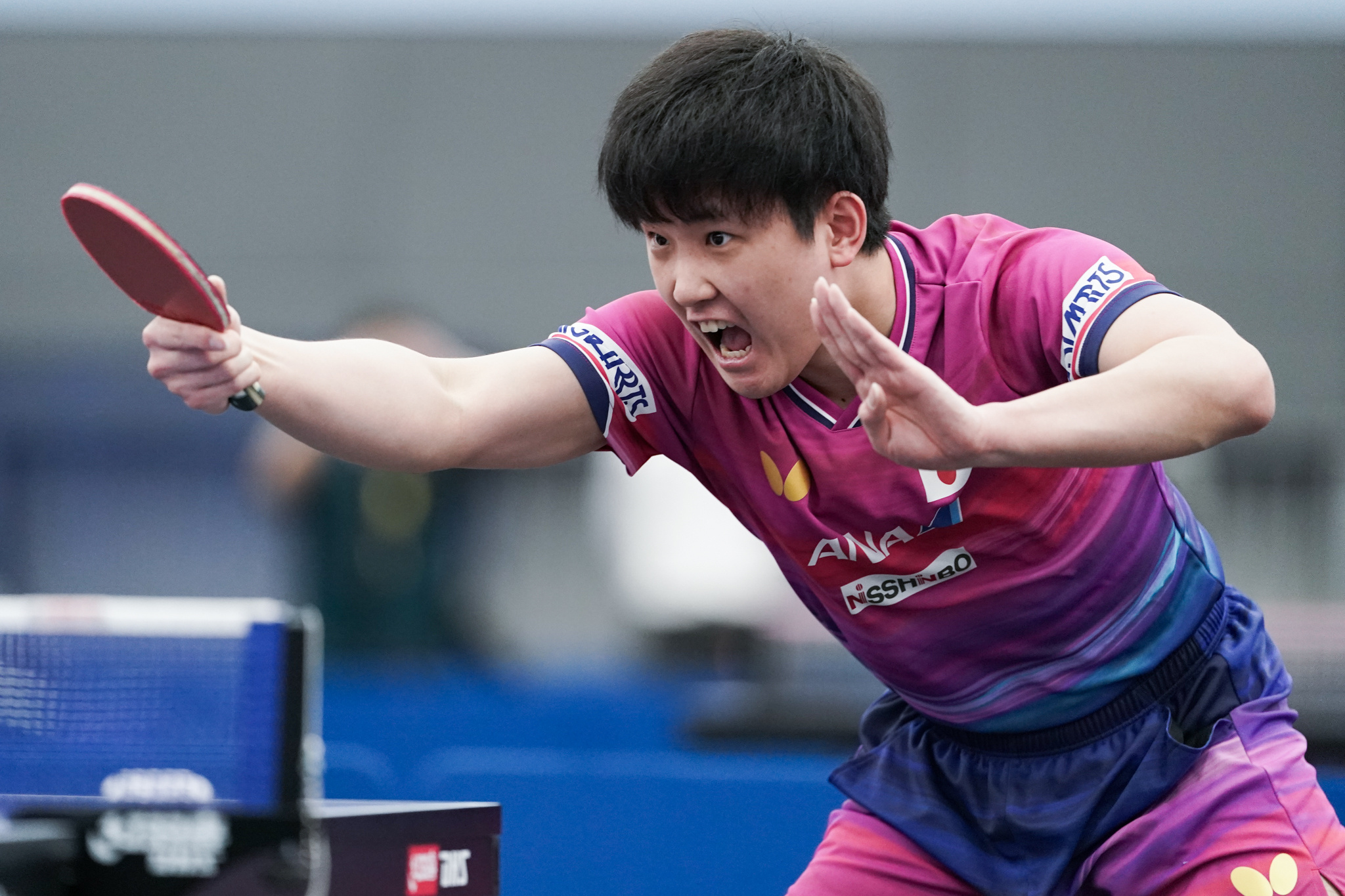 张本智和张本智和2026年伦敦世乒赛 公开训练图片📷cr. JTTA 