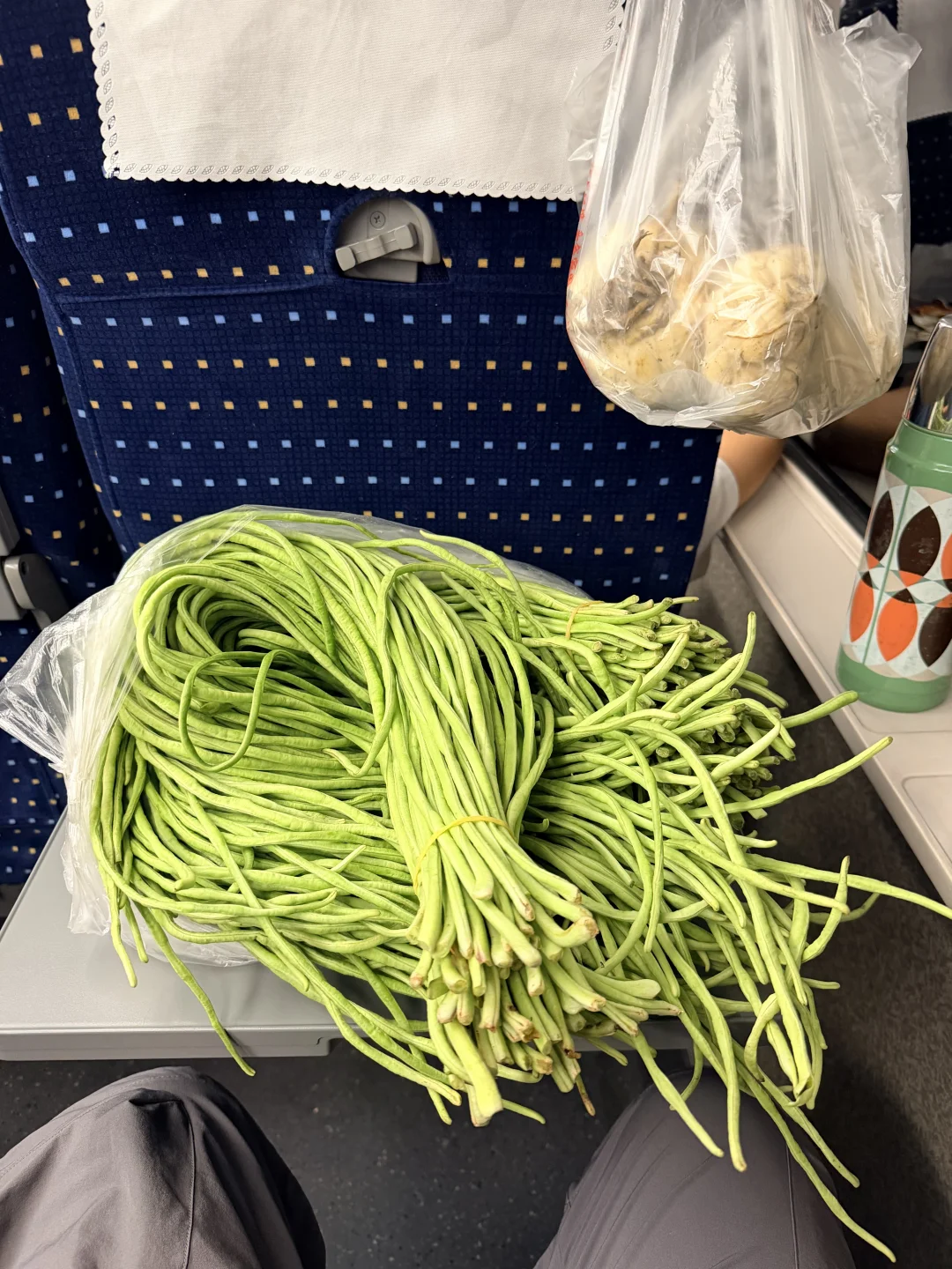 谁懂啊！坐高铁带一袋新鲜细豆角‼️