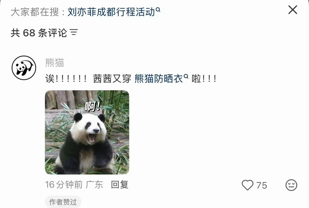 熊猫你真是太好命了 