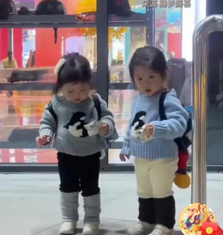 自由自在，可可爱爱。