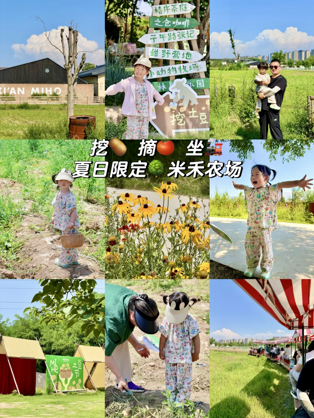 米禾农场土豆节🥔🆓挖土豆啦！！