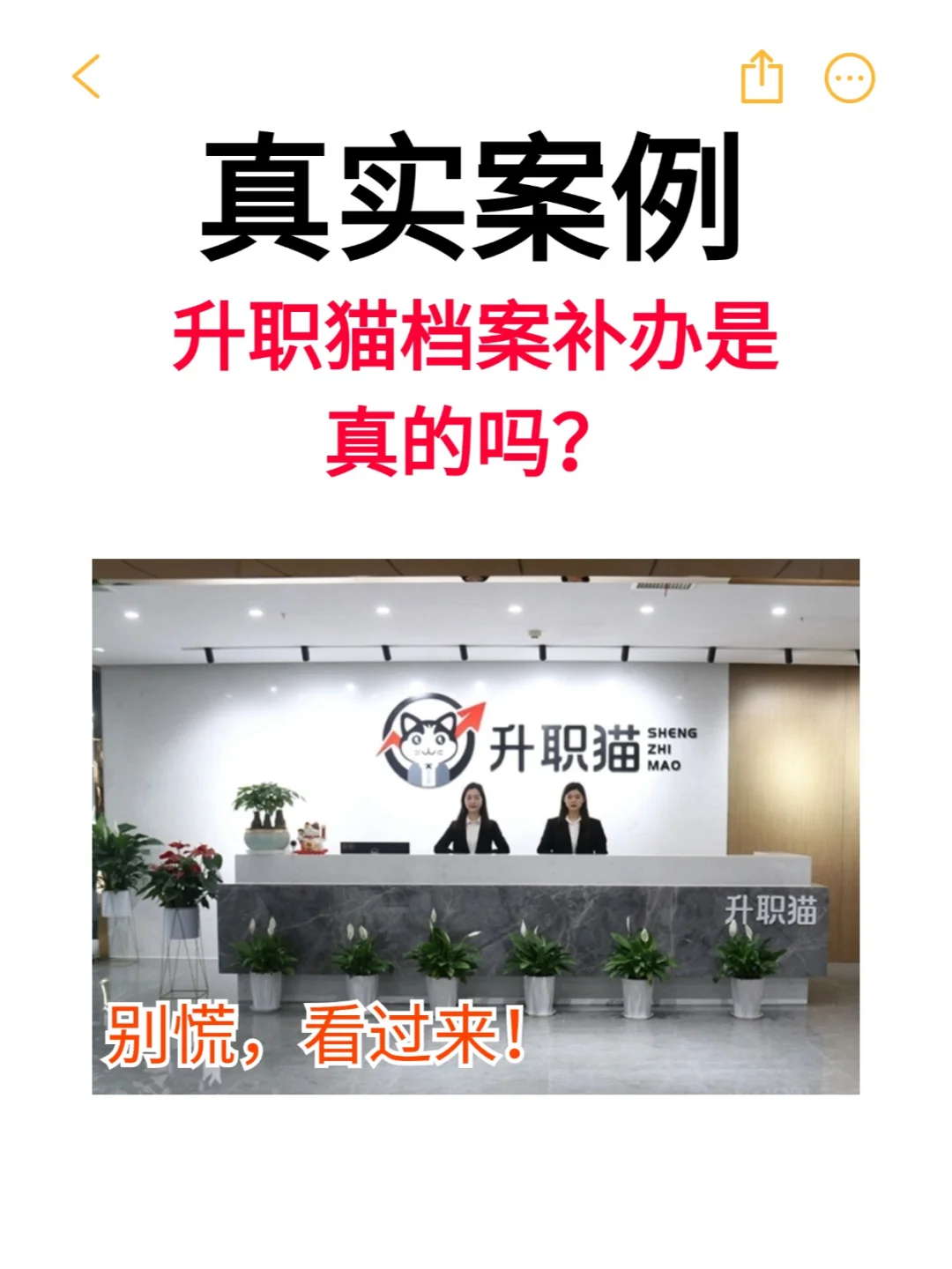 升职猫档案补办是真的吗？💁‍♂️