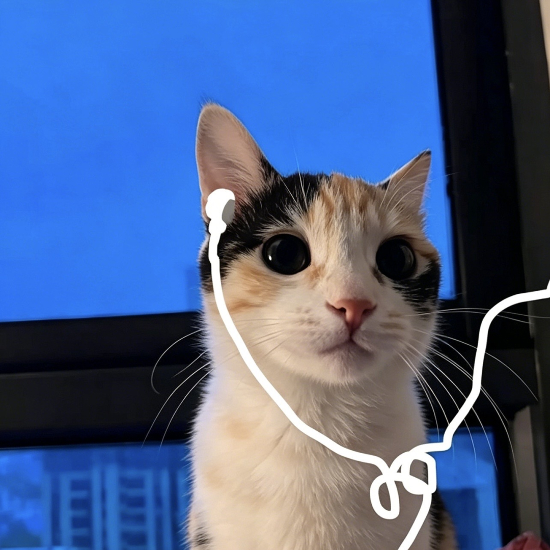 小猫：耳机分你一半 