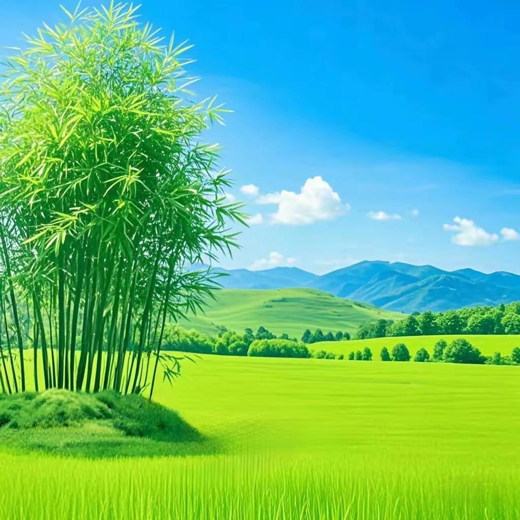 “竹林掩映，绿意盎然，大自然的调色盘”🌿🌿🌿