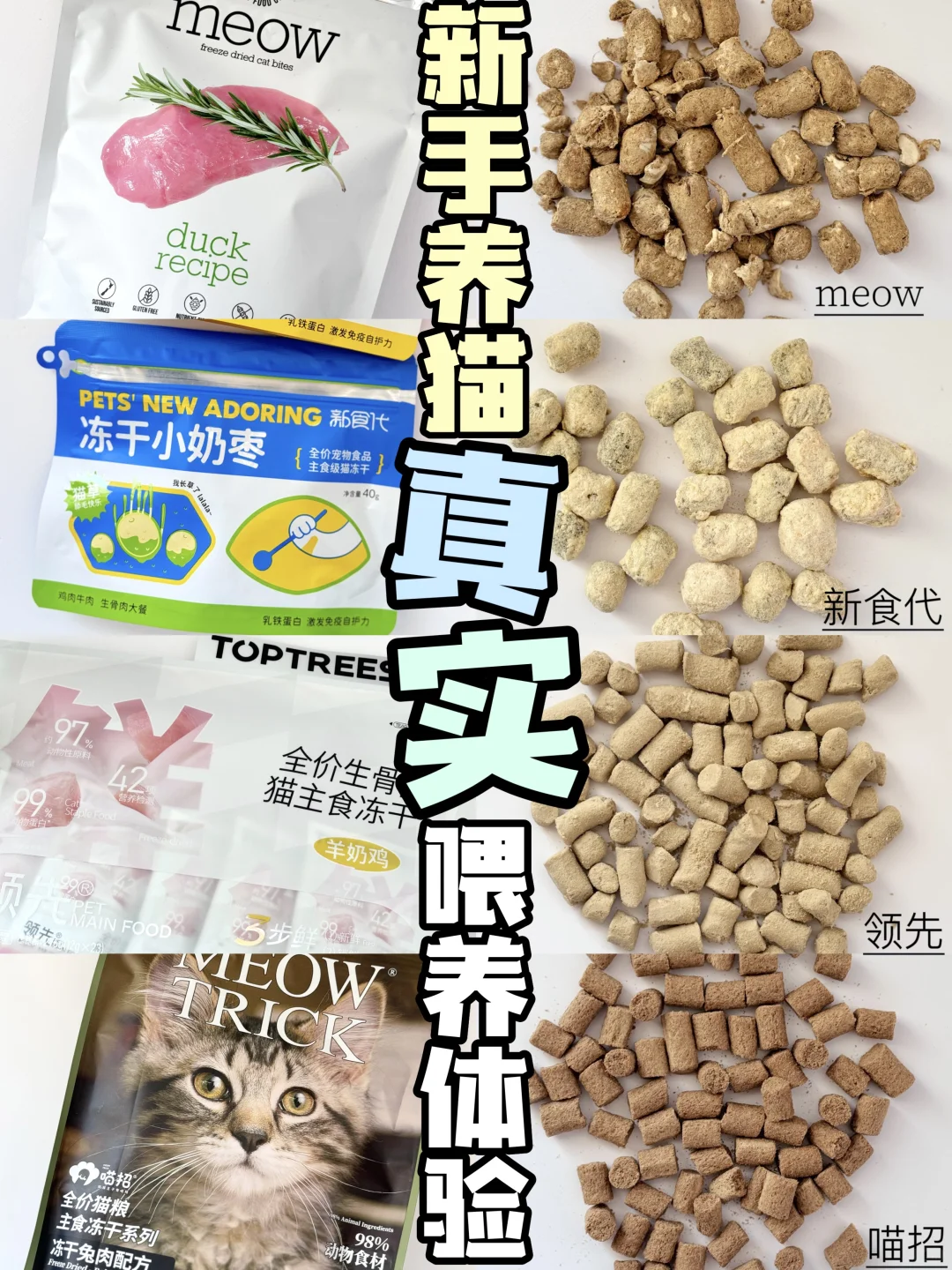 猫咪主食冻干分享｜全部自用不踩雷‼️