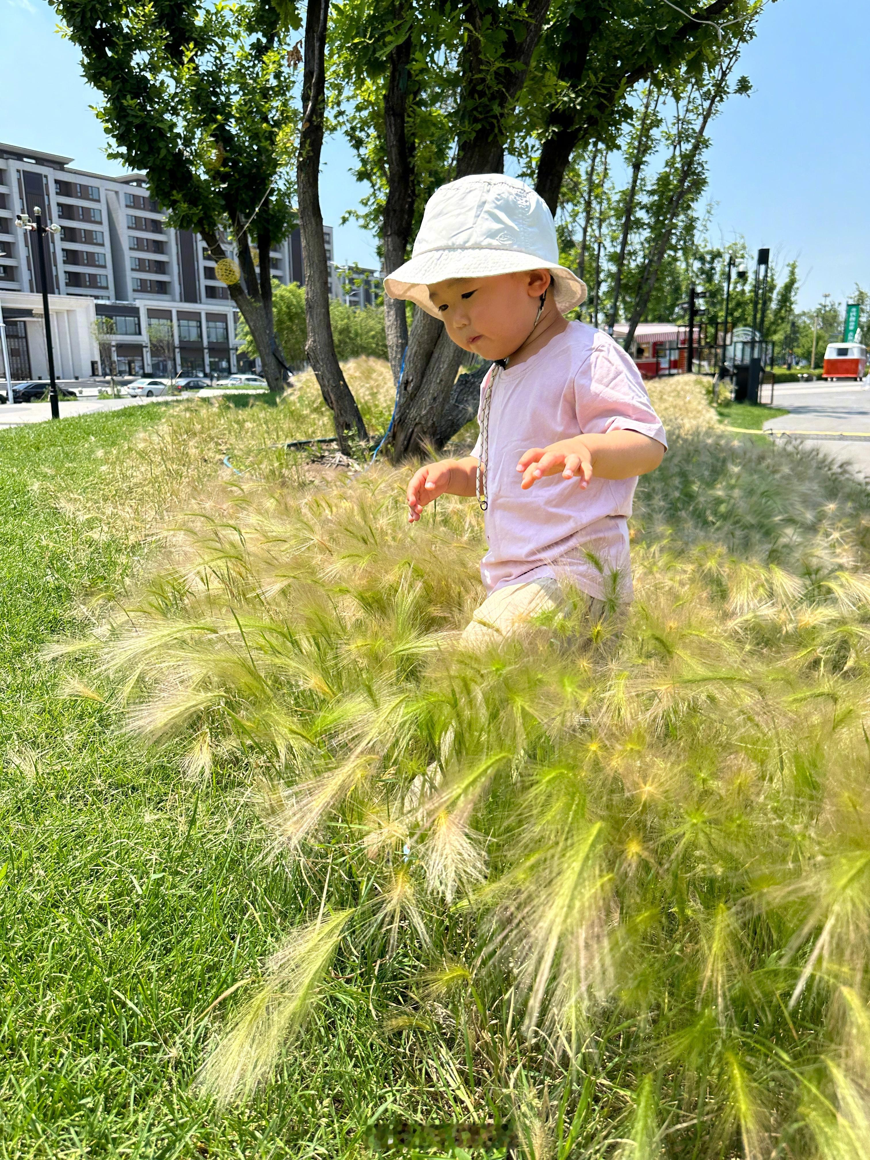 哎，人到中年，出门遛娃，还是MPV体面一些！我是不是得整一台了？大家觉得买哪台好