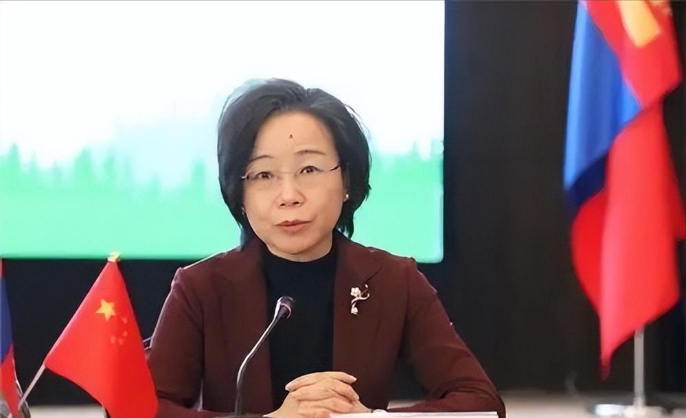 在亚洲局势的关键风口上，中国外交部官宣重大人事变动，外媒集体跟进！7月29日，外
