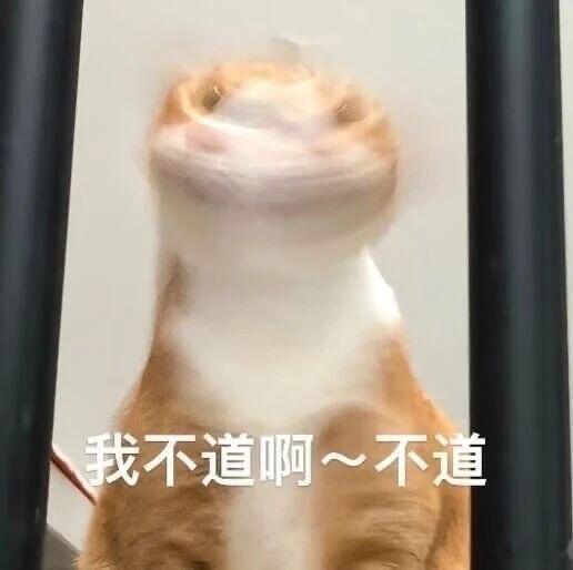 蒙淇淇向白鹿道歉其实剧本这种事几次改动，推动重写都很正常！就问问江苏文投是不是该