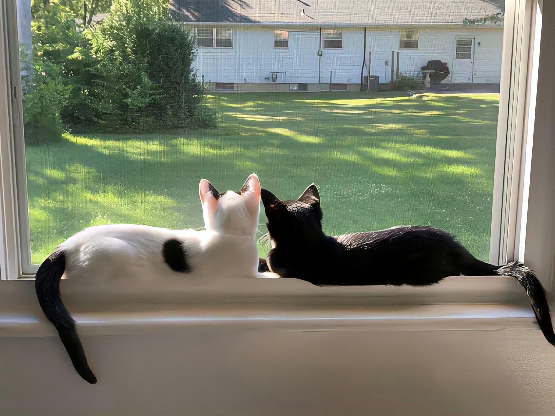 一波可爱的iPad壁纸来袭～ 