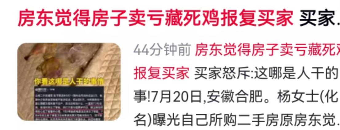 买房本该是件开心事，可对于安徽合肥的杨女士来说，这却成了一场挥之不去的噩梦。7月