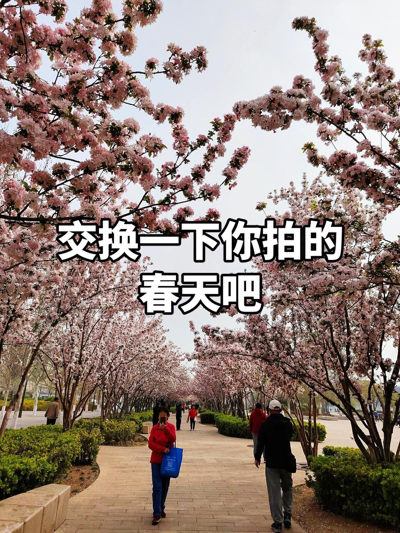 看听音乐 不负春光不负景