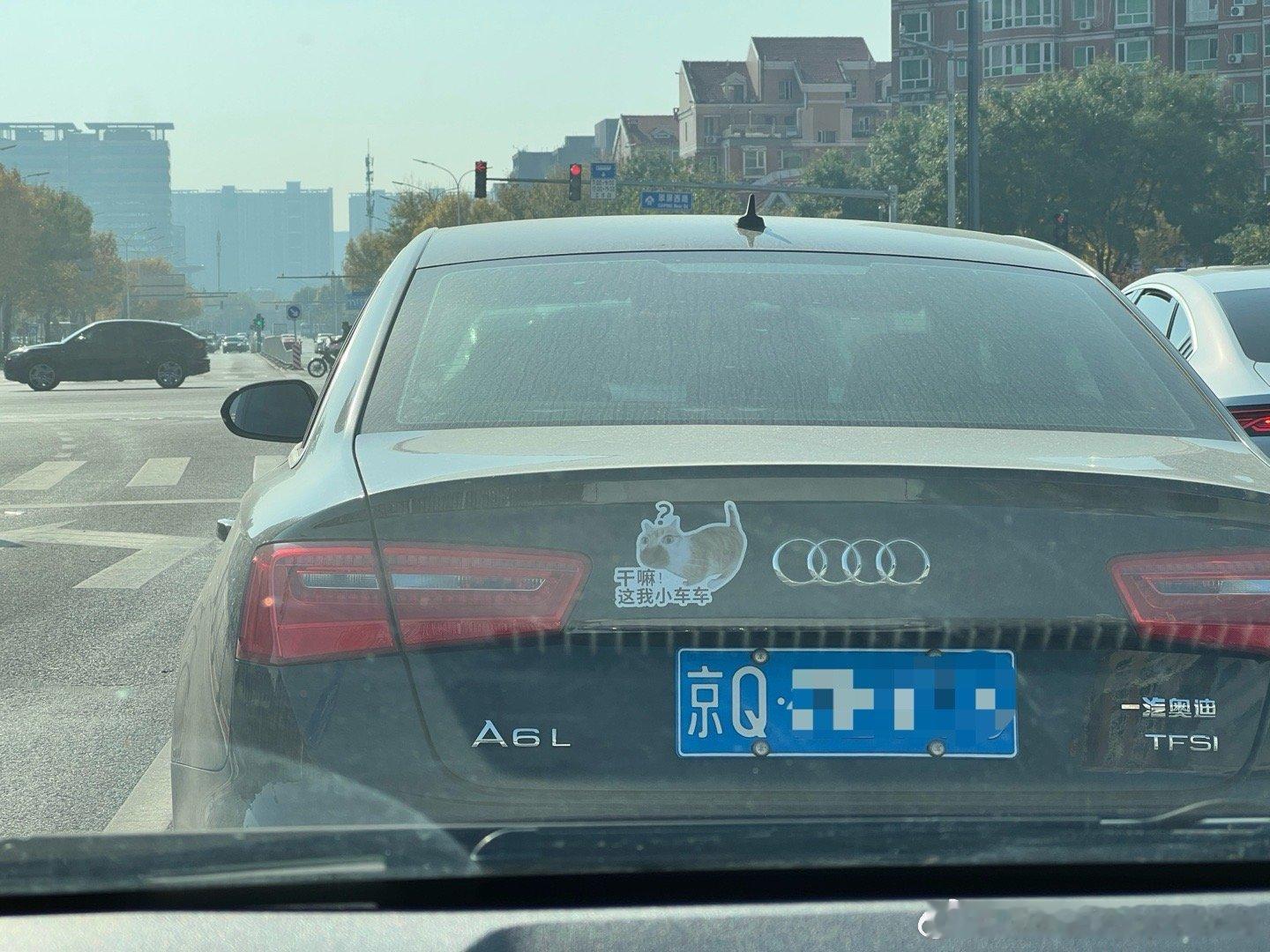 又一个有趣的灵魂。[doge]  ​​​