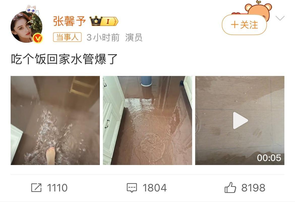 张馨予家被水淹了 张馨予：难得有机会体验一下水帘洞！网友：遇到事情不要慌，先发个