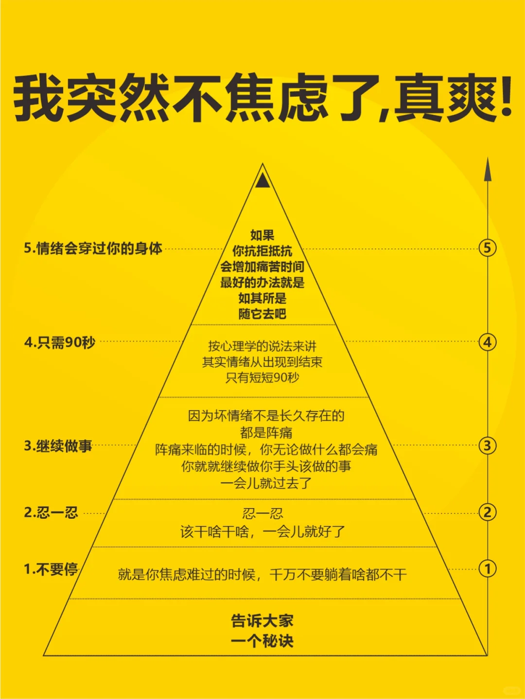 我突然不焦虑了，真爽！