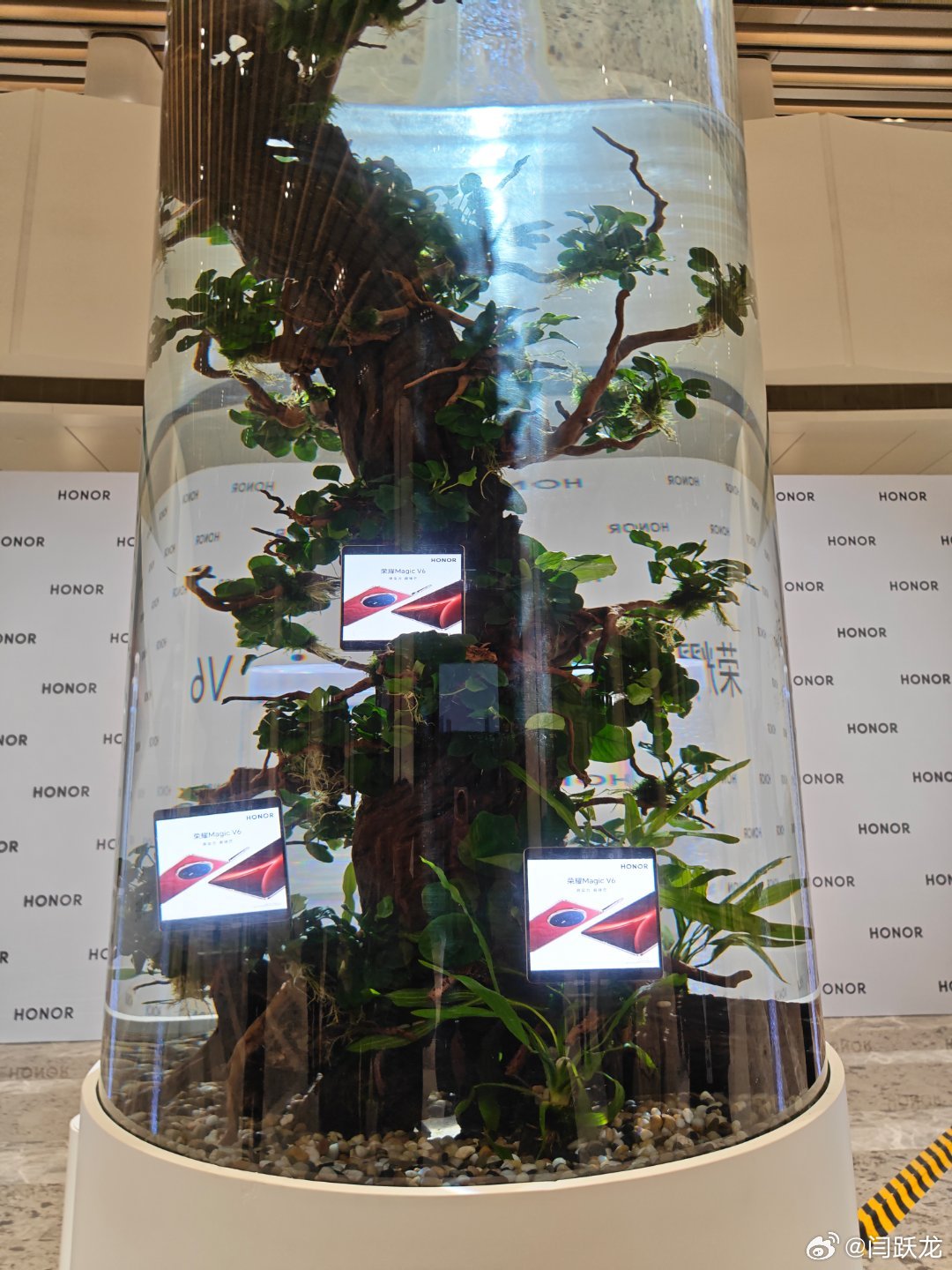 荣耀magic v6 泡在水池中展示，可见对防水性能很有自信。 深圳