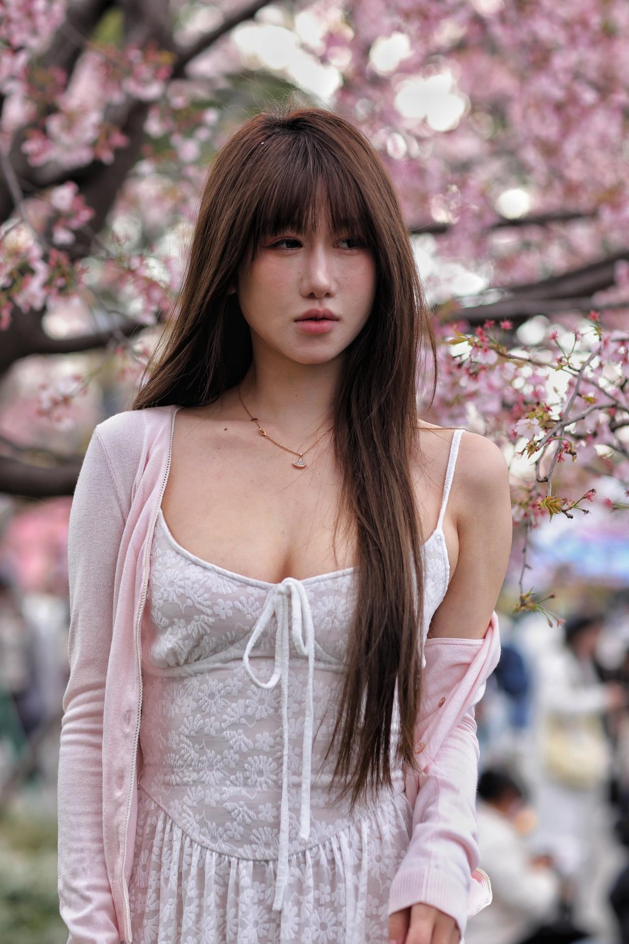 《春樱与少女》

春风漫过枝头，粉白樱花如云似雪，漫溢成一整个春日的温柔。少女立