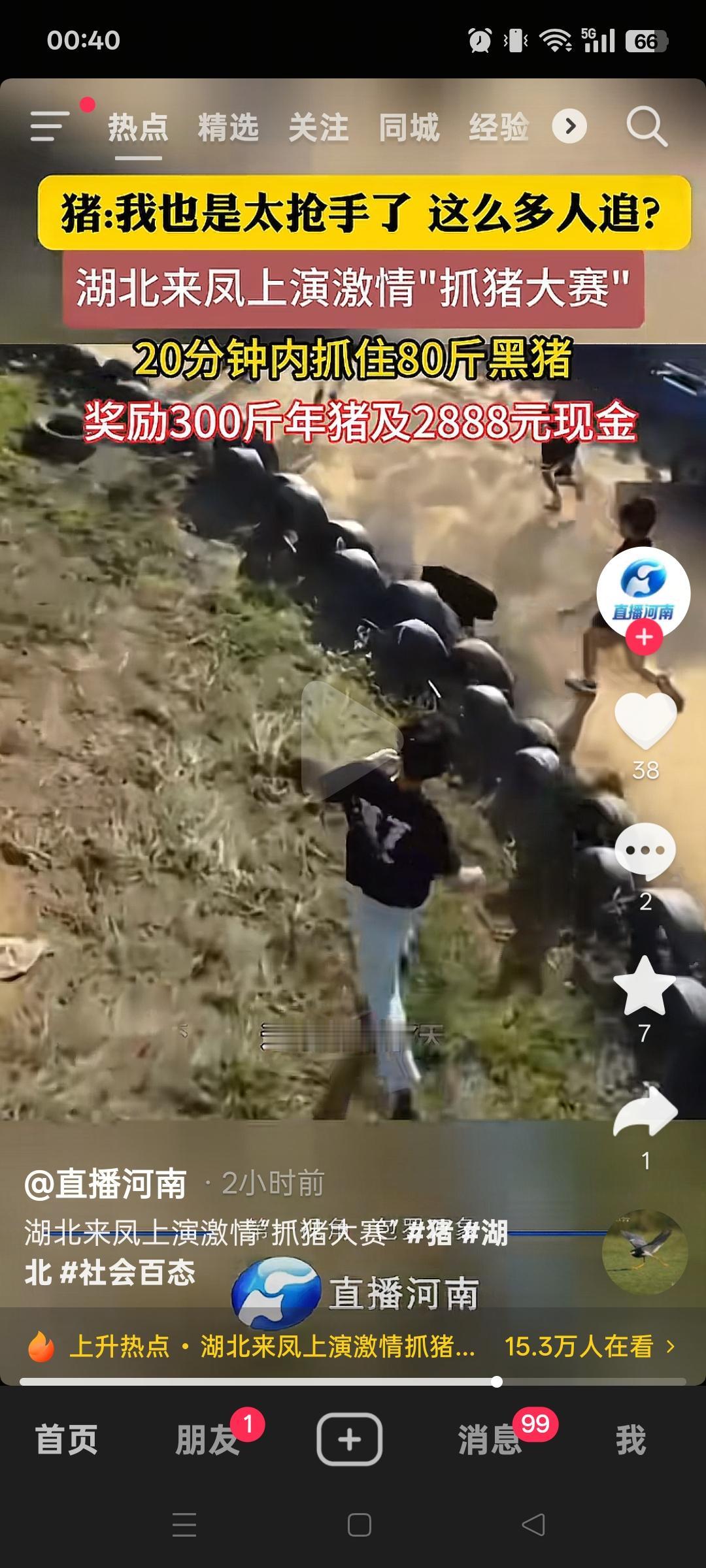 没看错，就是猪。要在20分钟内擒住一头80斤重的黑猪，这可绝对是个高难度挑战。你