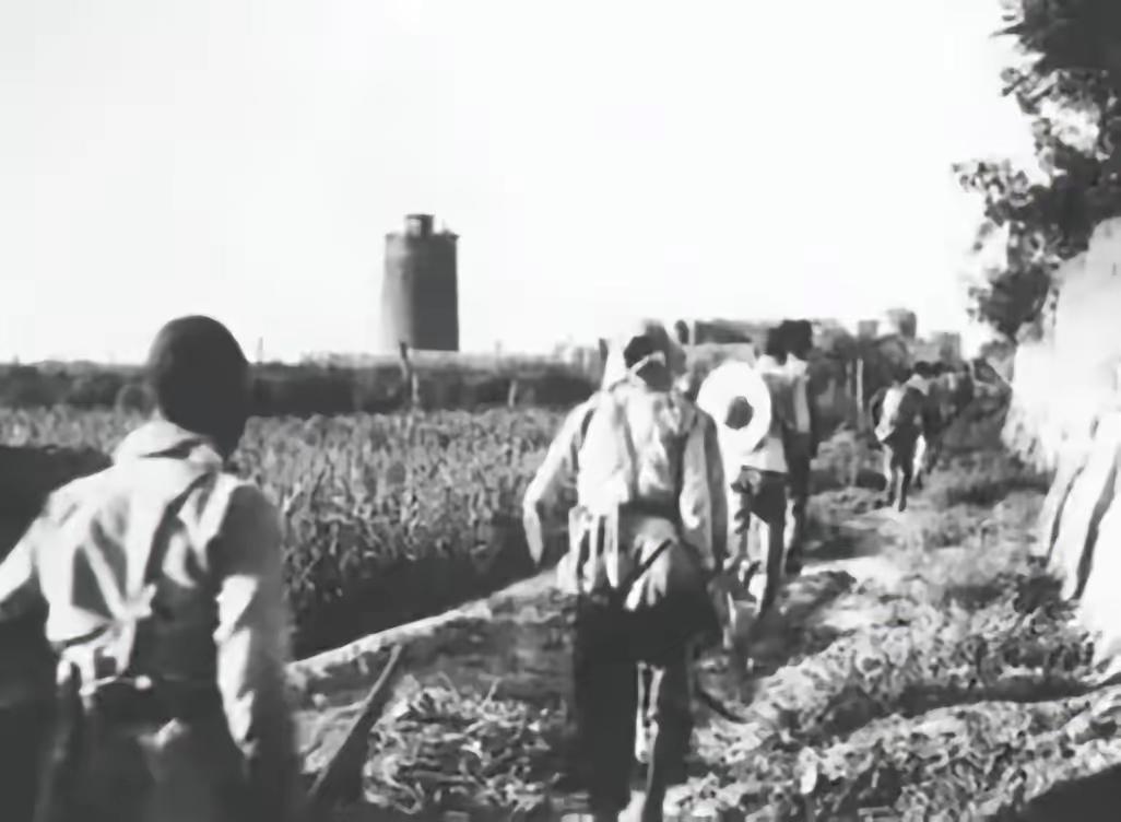 1938年，南京郊外，一名小女孩被日军包围，日军正要对其施暴，突然一个黄色的身影