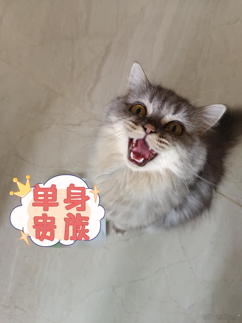 结婚率低难道是民政局不好找吗把离婚率放出来，结婚率暴跌，离婚率平稳增长，大家都懂