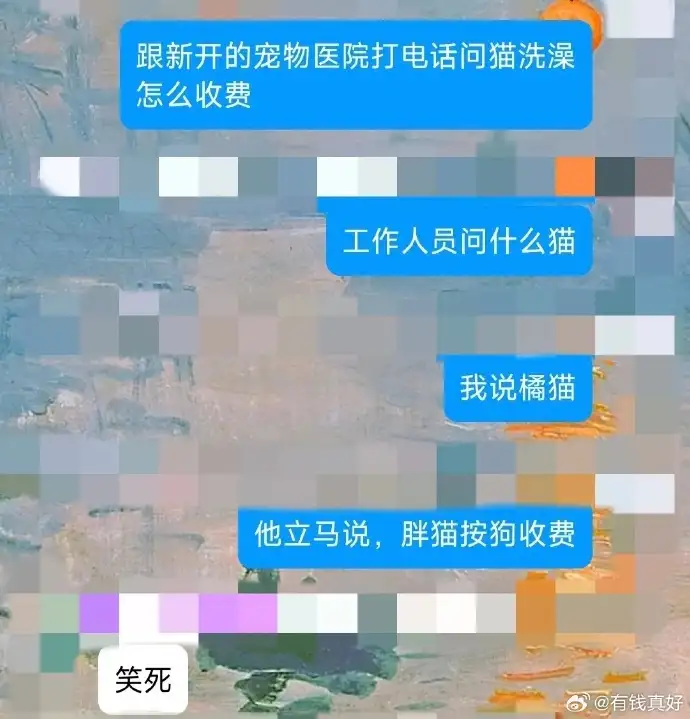 <img src=