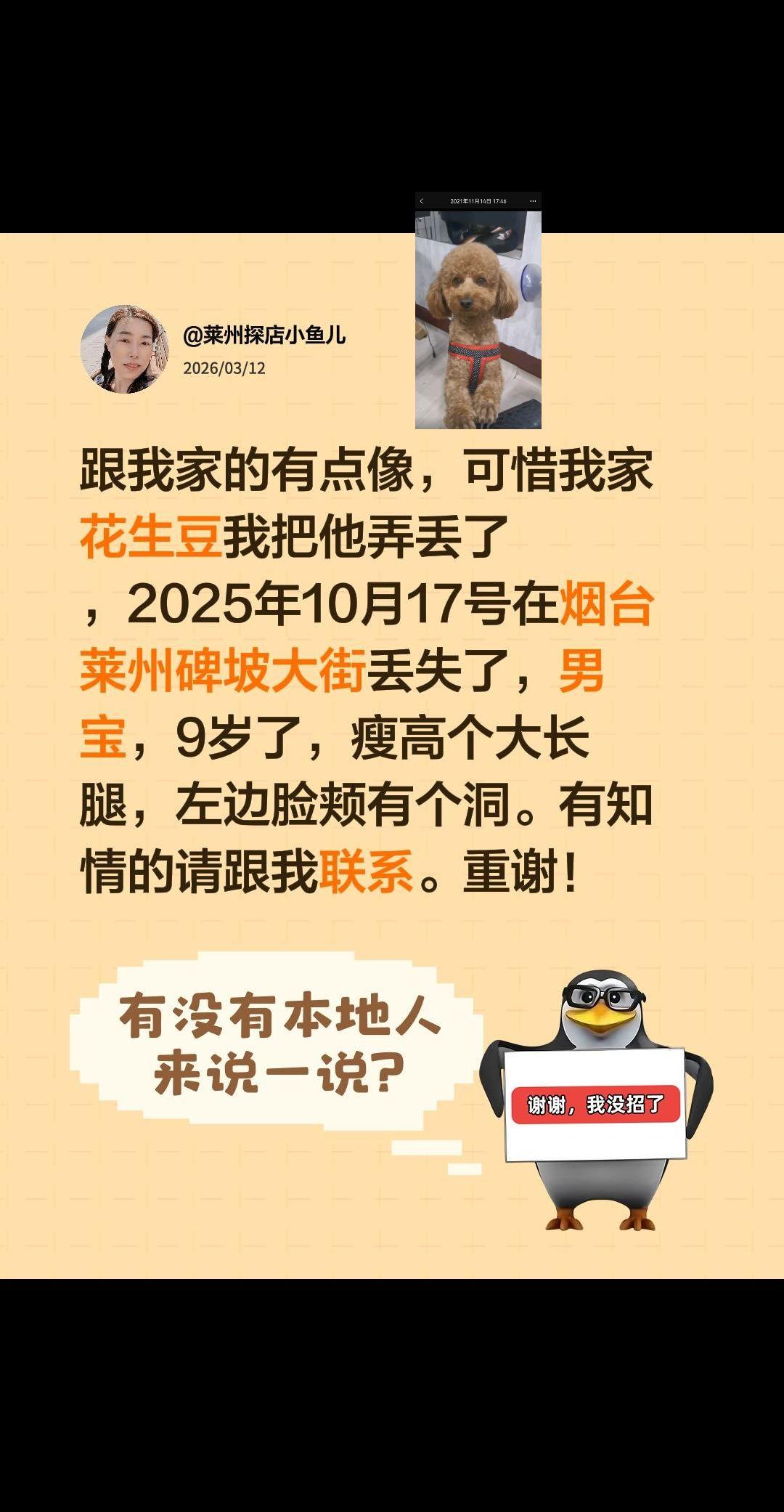 莱州同城丢狗寻狗。我评论了 的作品： 跟我家的有点像，可惜我家花生豆我...