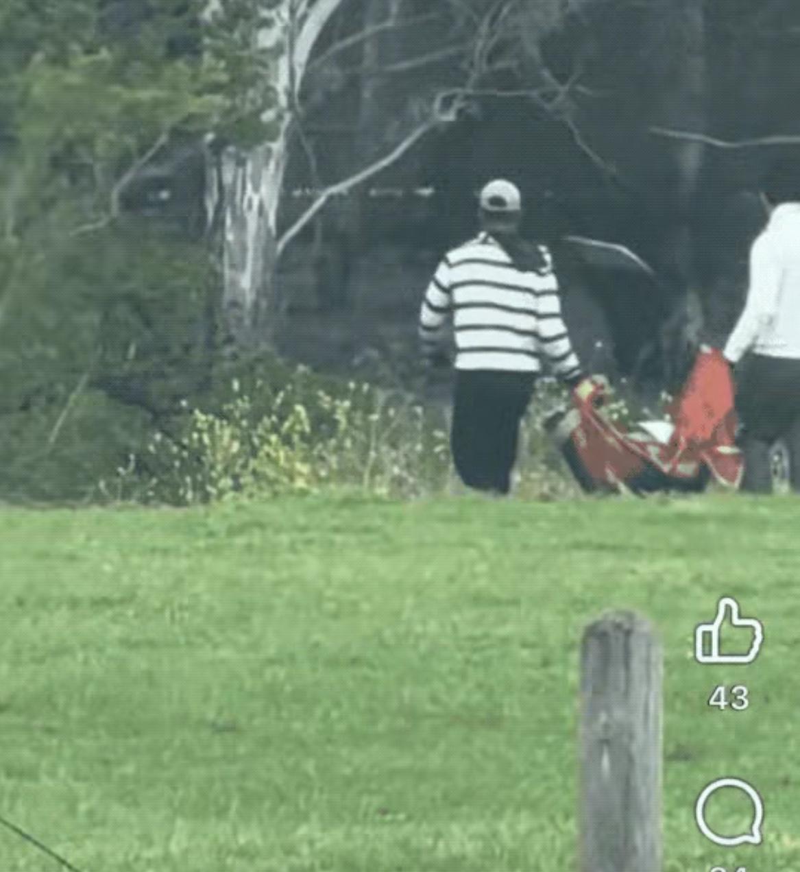 印度人臭遍全世界的速度太快了！

澳大利亚白人在网上气得大骂：“墨尔本梅尔达的印
