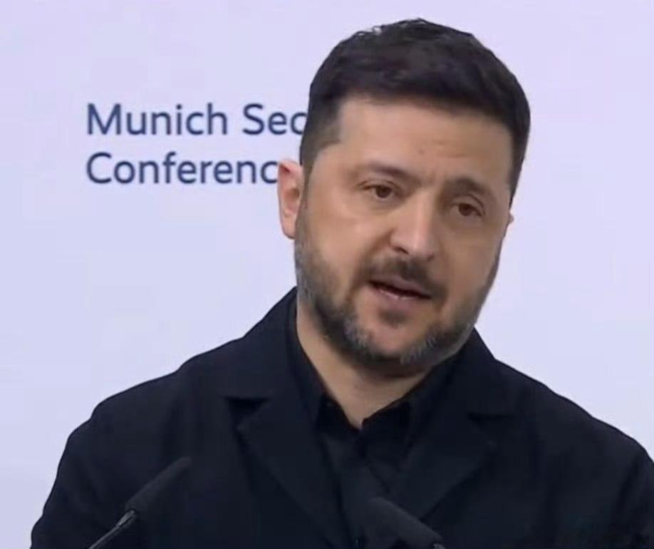 关注俄乌局势最新进展 泽连斯基在慕尼黑安全会议上抱怨，乌克兰境内的电厂无一幸免，