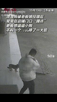 不要去吓唬一条流浪狗，更不要去伤害一条流浪狗，对待这些可怜的小动物，最好的办法就