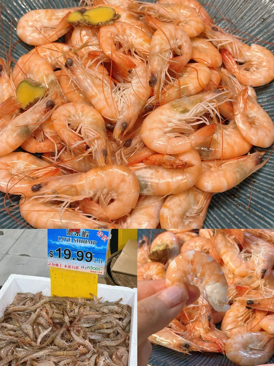 留子苦冷冻虾久矣🦐法拉盛买到靠谱游水活虾