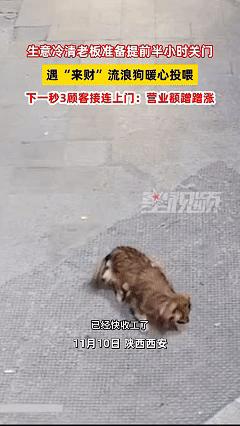 西安一餐饮老板每天关店后给门口几只流浪狗送饭送水，被路人拍下传到网上，视频一下爆