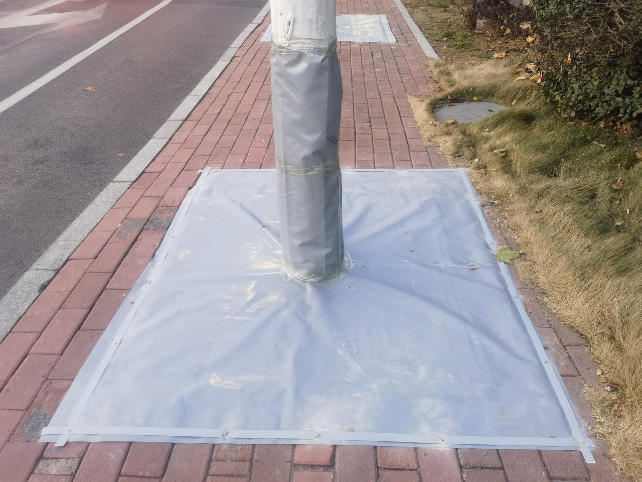 万能的网友，这是什么操作，把树坑用塑料布密封起来。