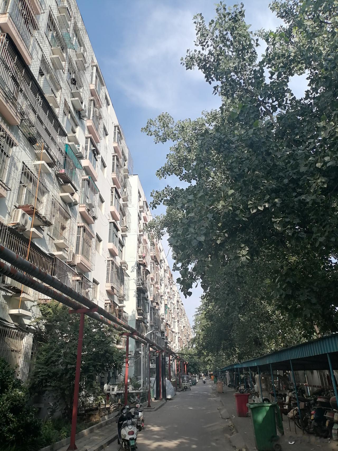 发一张图片，让我猜出你在哪里拍的这是中原区（市中心核心）的一个老旧小区，小区自治