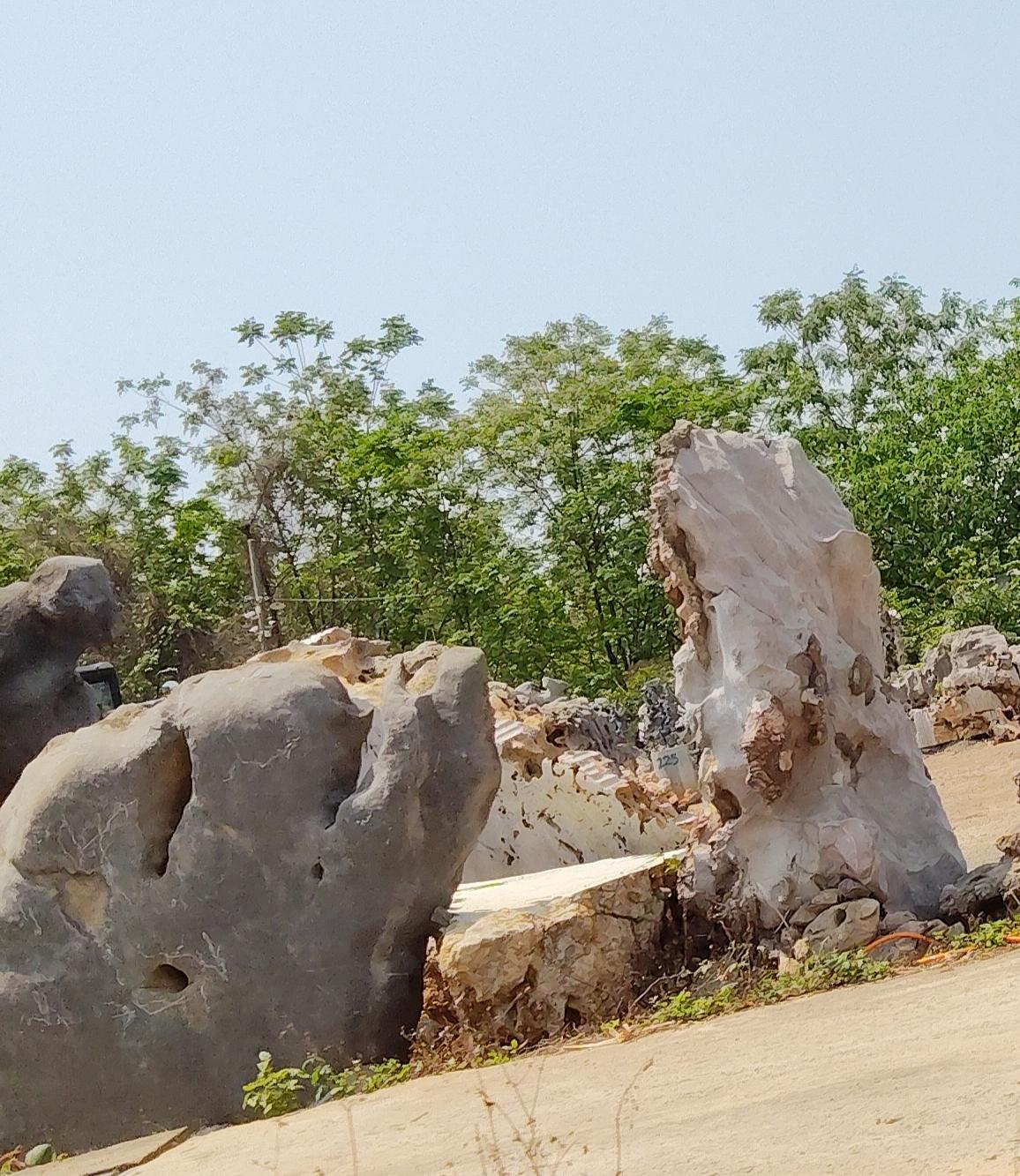 一个像鲸鱼，另一个像什么？