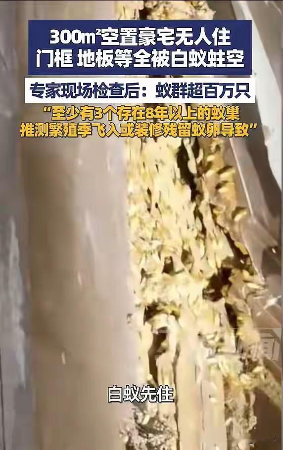 300平新房变“蚁穴”：5年无人住的房子，揭开中产最深的隐痛

近日，广东佛山王