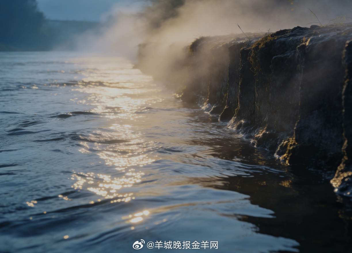 #早安# 河畔晨雾漫过堤岸，晨光揉碎在粼粼水波里，风裹着清润的凉拂过肩头，新晨，