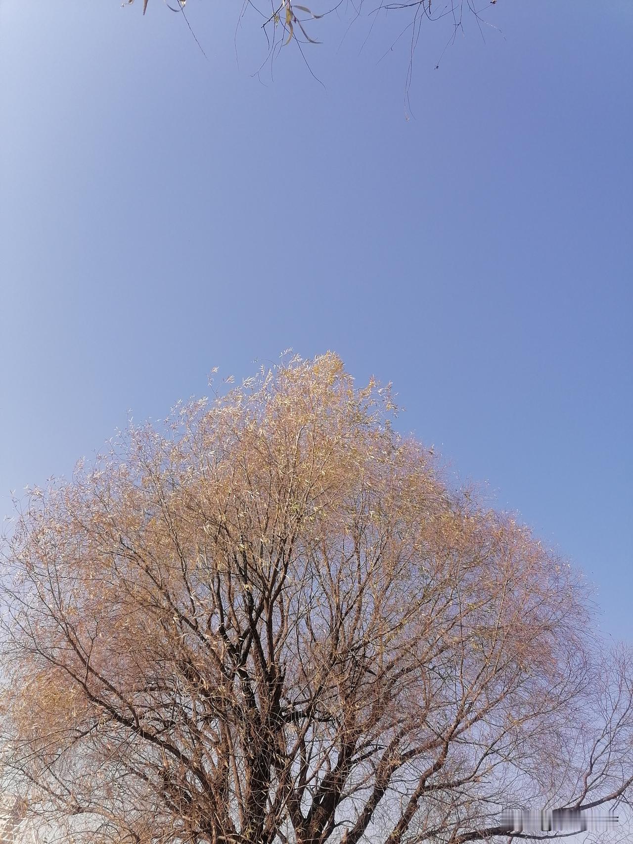 人生哪能全如意，万事只求半称心！从俗事中解脱出来，去看山川河流，看外面广阔的天地