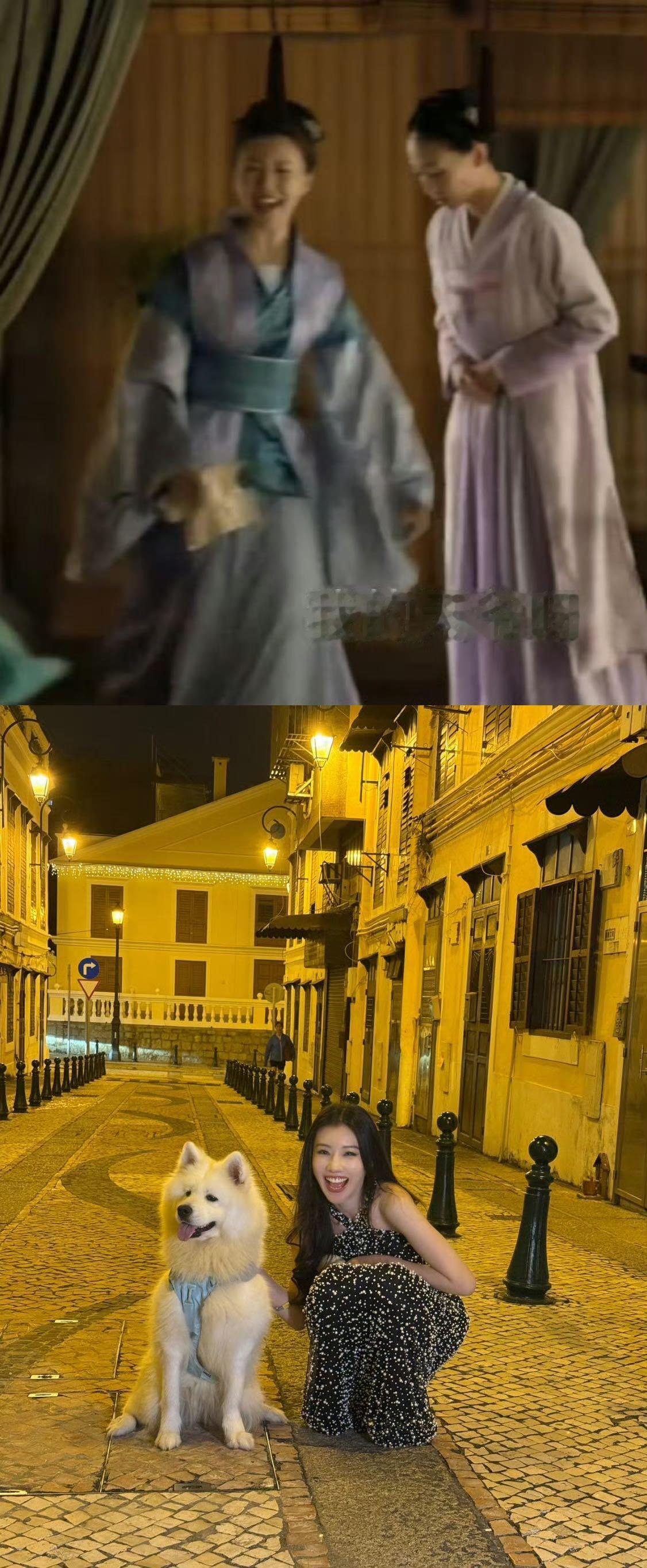 王鹤润这段像华兰见到鬼热闹王鹤润尖叫之夜活动拍图在澳门街头偶遇修狗，互动好可爱，