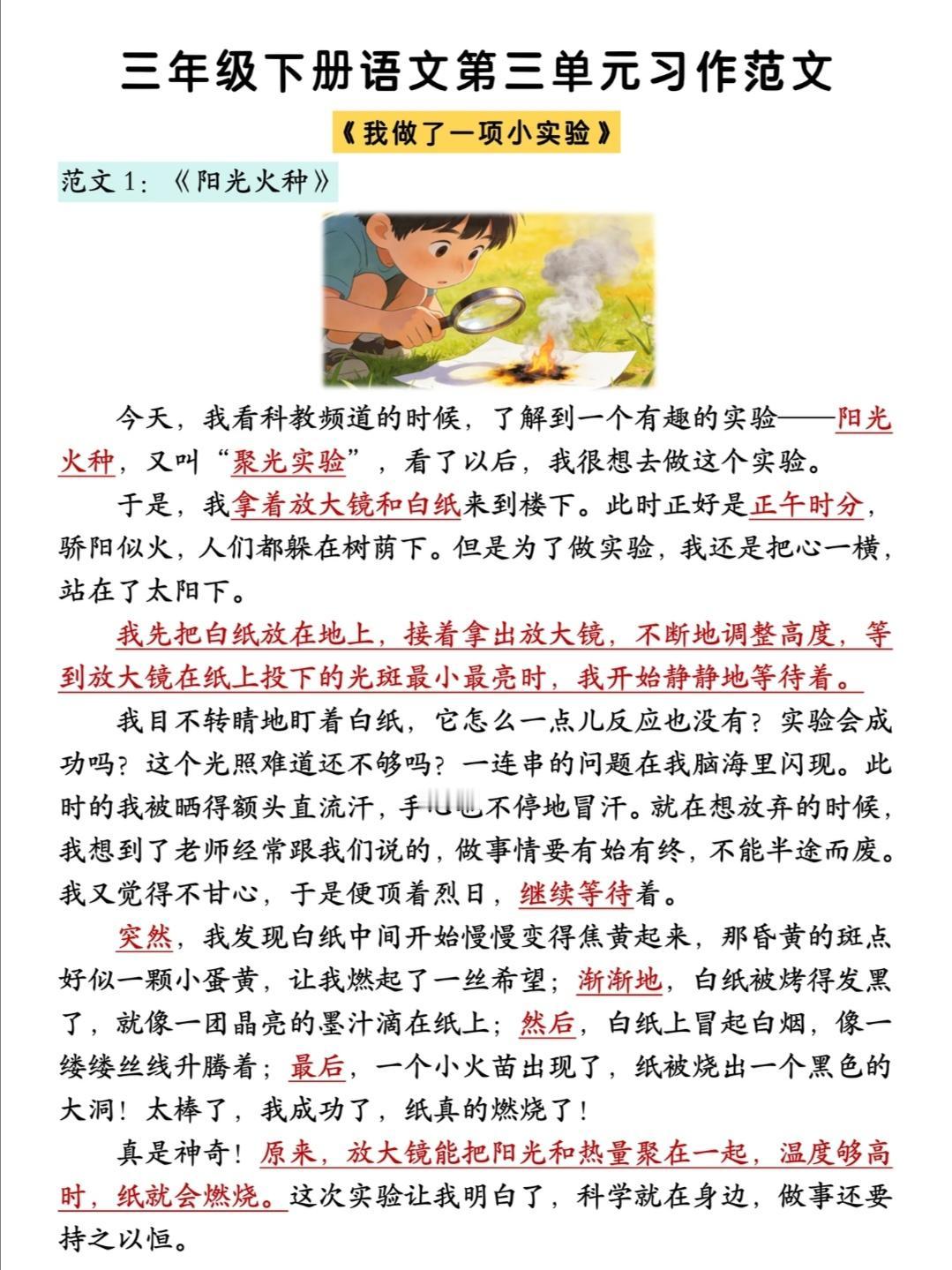 三年级下册语文，第三单元习作《我做了一项小实验》精选范文5篇，收藏备用作文