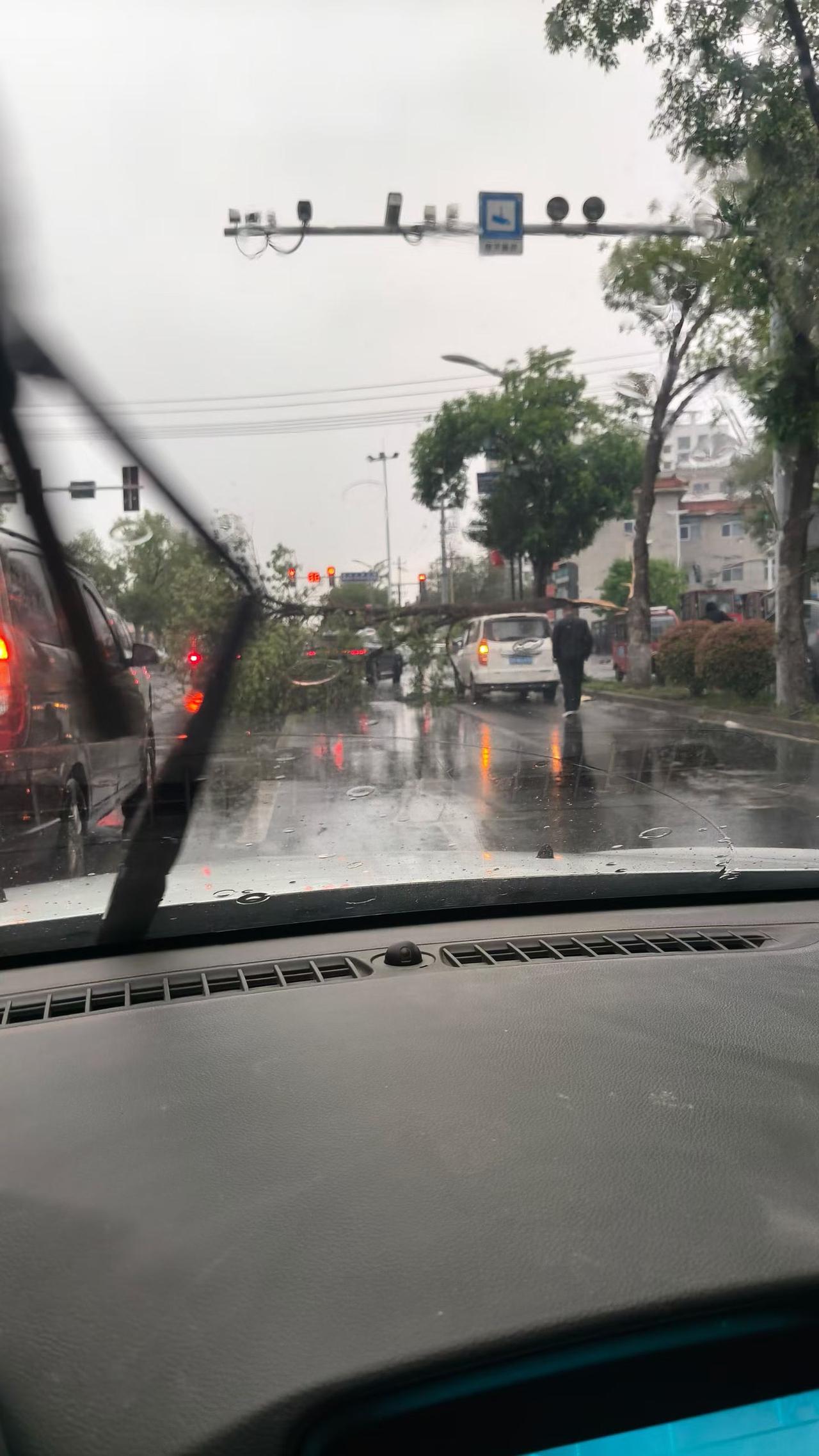 狂风暴雨来袭，终究还是五菱宏光扛住了这刮倒的大树枝