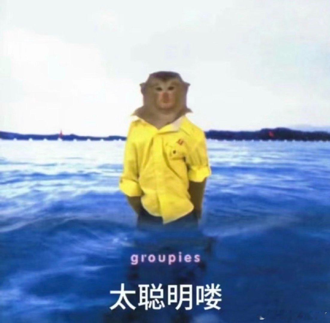 前两天就有人问我，会不会半夜熬大夜蹲苹果发布会图啥？实话讲，还真不是准备入手。正