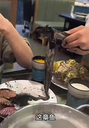 这种墨汁洗不掉吧[捂脸]