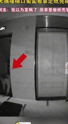 深夜老人爬行捡纸箱？真相让人鼻酸
 深夜小区监控里，一位白发老人四肢着地，在楼道