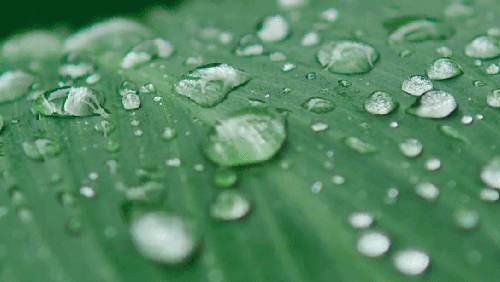 水逆退散  公益救援在行动真正的智慧是接纳，外不起分别，内不生对立；不与天斗，不