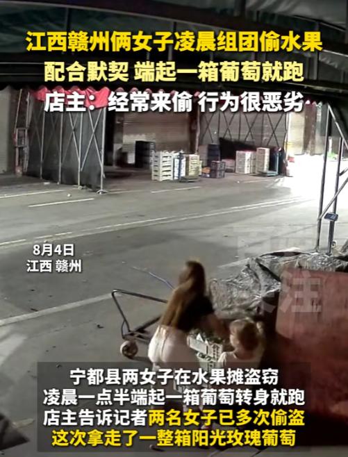 “活不起了？”8月4日，江西赣州，两名美女凌晨组团去偷水果，配合非常默契，端起一