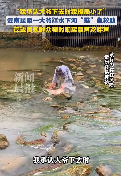 格局通透！昆明大爷下河救助搁浅大鱼，暖心一幕治愈众人

平凡日常，尽显温柔善意。
