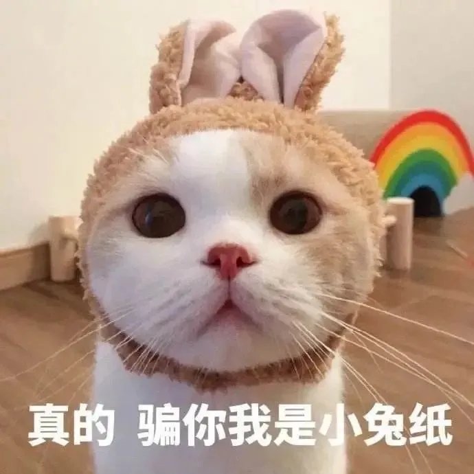 表情包:真的，骗你我是小兔纸 ​​​